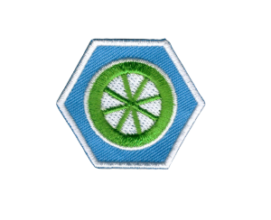 Scouting badges en insignes